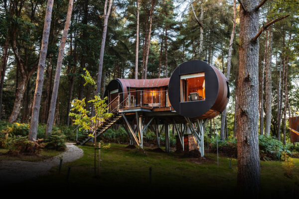 Tree House