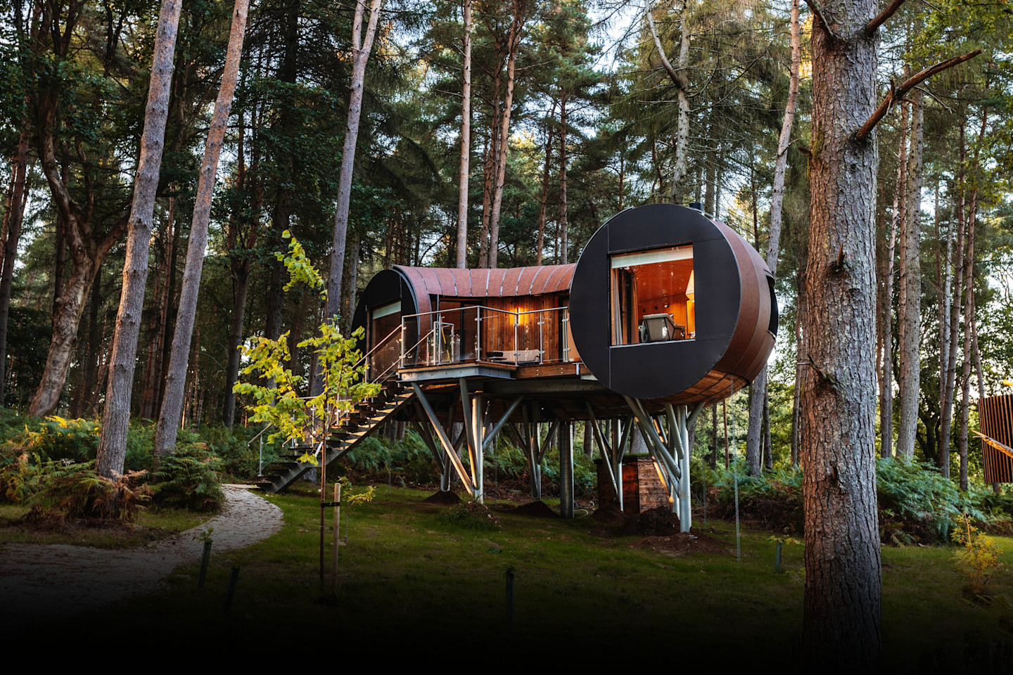 Tree House